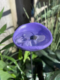 🐝Bee Watering Station,🦋Butterfly Puddler,Hummingbird Drinking Cups