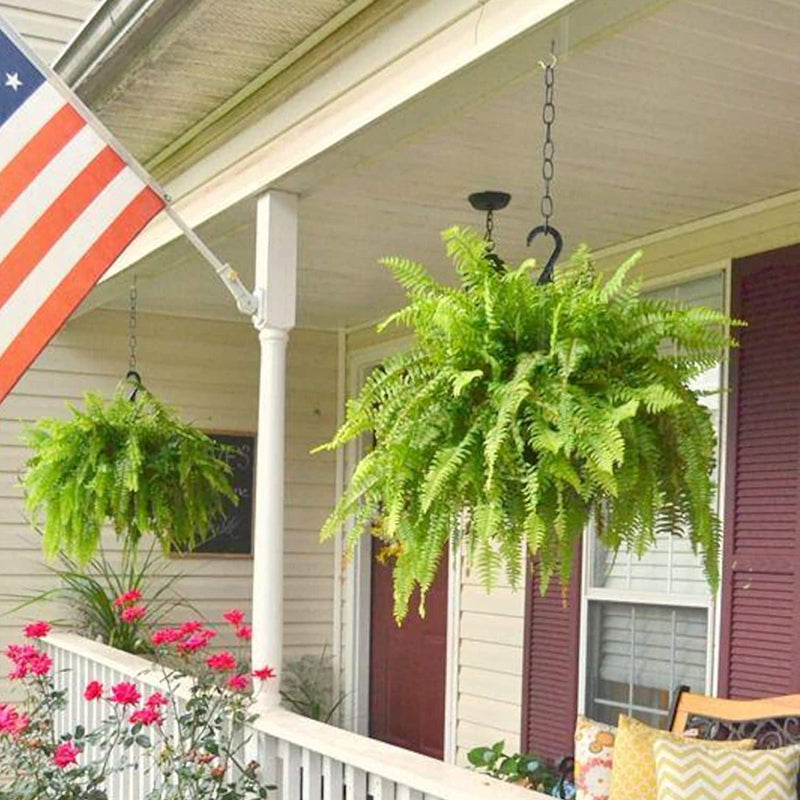 🔥Last Day 50% OFF🔥Oversized Pre-Lit Artificial Boston Ferns --No watering, No fading